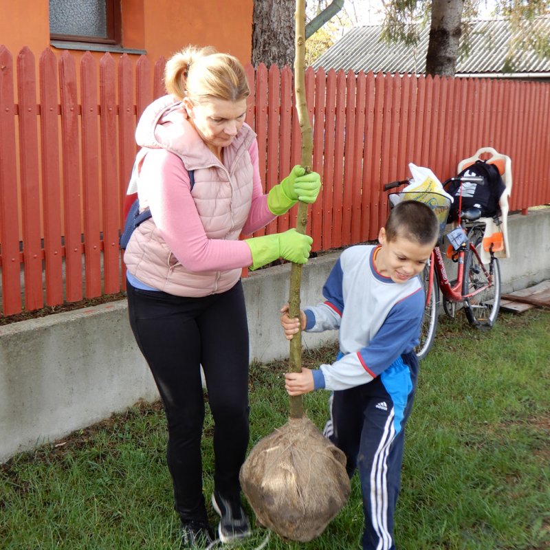 Közösségi faültetés Berettyóújfaluban 07